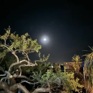 Casitas Pacifico noche luna llena