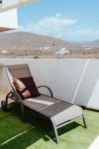 camastro sobre pasto